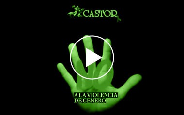 Limpiezas Castor. 6_video_violencia_2013 Videos