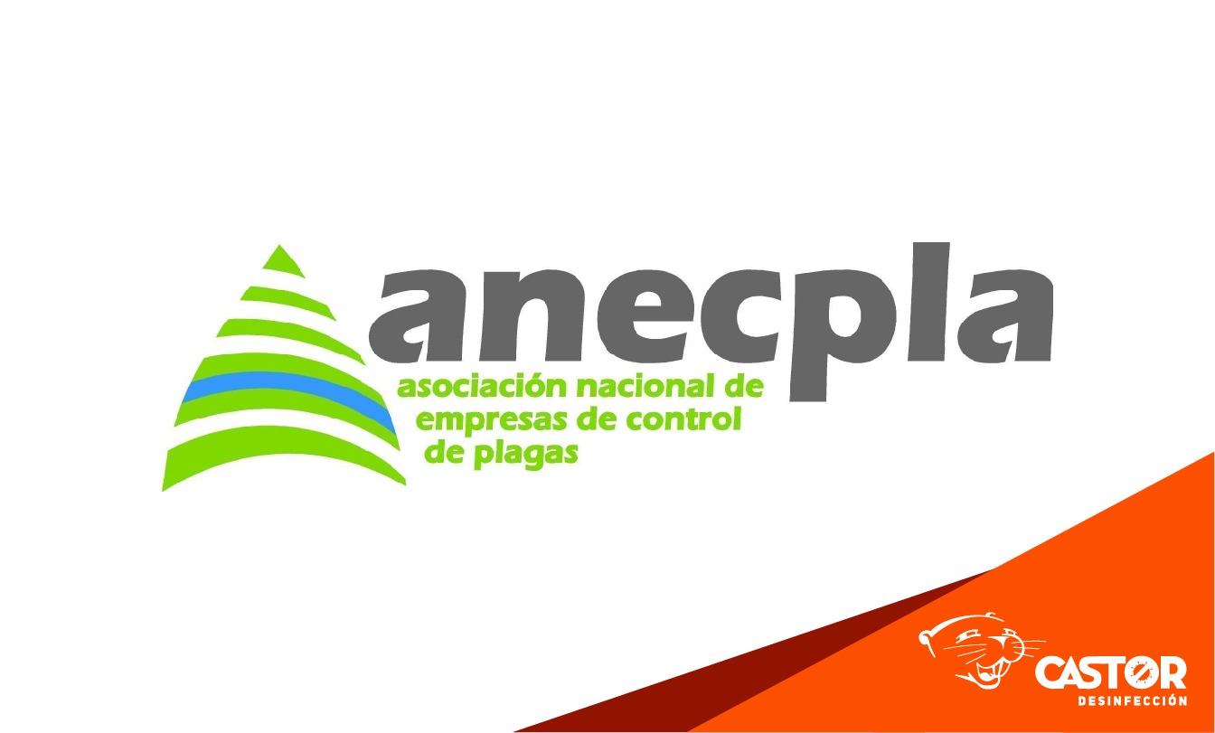 Limpiezas Castor. 2020_10_26_Web-05 Noticias
