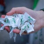 Limpiezas Castor. Cabalgata-2026-6-150x150 CABALGATA DE REYES 2026